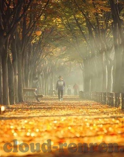 乐鱼体育娱乐登陆-乐鱼体育娱乐登陆，重塑体育与娱乐体验的新篇章