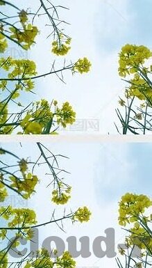 球探比分即时足球比分蓝-球探比分即时足球比分蓝，足球迷的实时数据盛宴